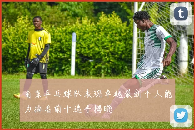 南京乒乓球队表现卓越最新个人能力排名前十选手揭晓