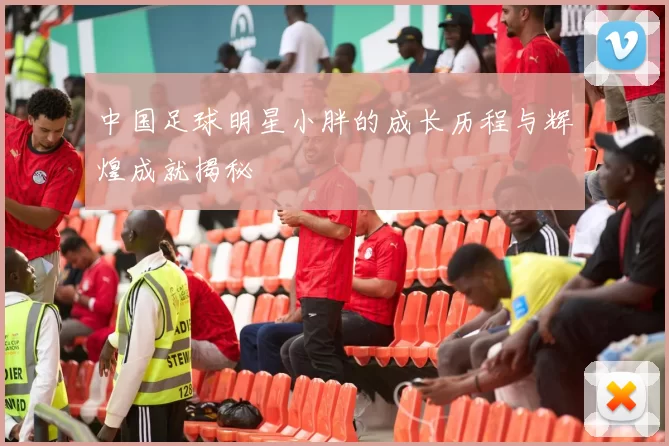 中国足球明星小胖的成长历程与辉煌成就揭秘