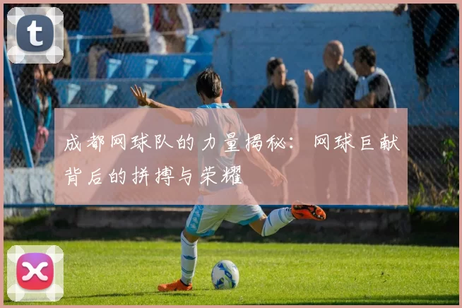 成都网球队的力量揭秘：网球巨献背后的拼搏与荣耀