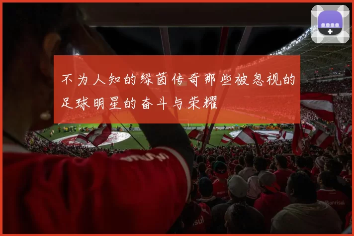不为人知的绿茵传奇那些被忽视的足球明星的奋斗与荣耀