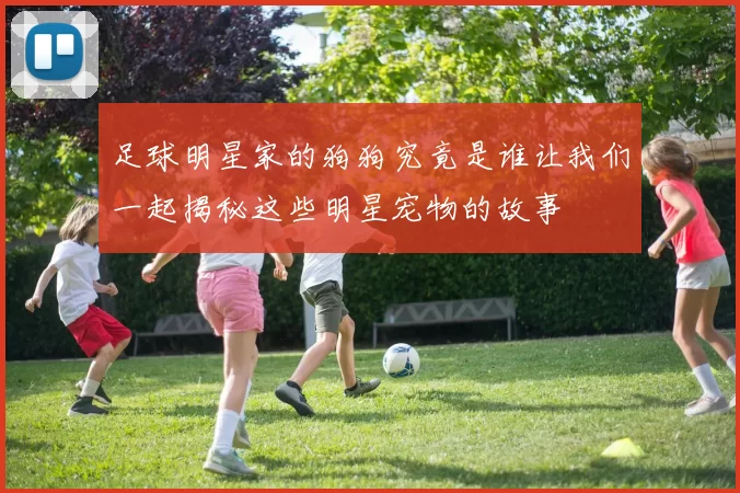足球明星家的狗狗究竟是谁让我们一起揭秘这些明星宠物的故事