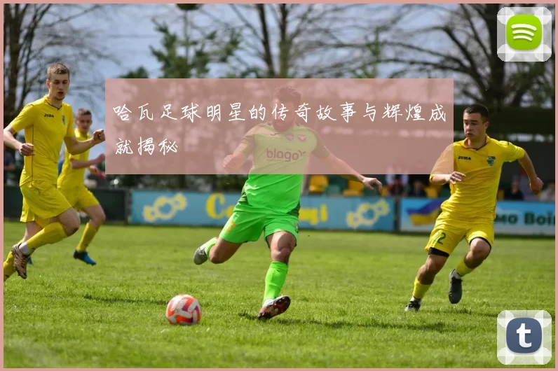 哈瓦足球明星的传奇故事与辉煌成就揭秘