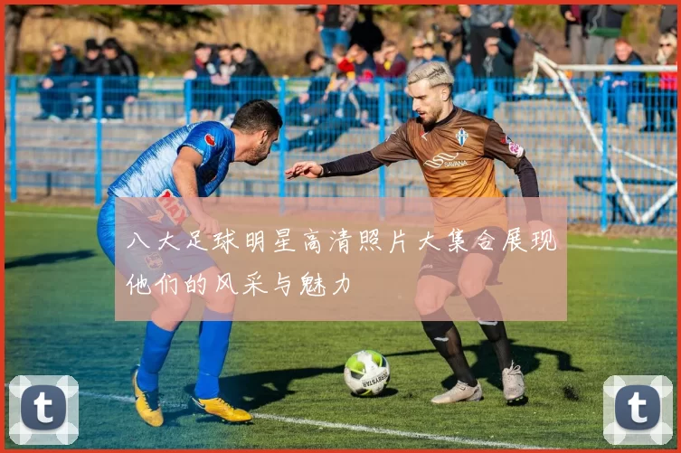 八大足球明星高清照片大集合展现他们的风采与魅力