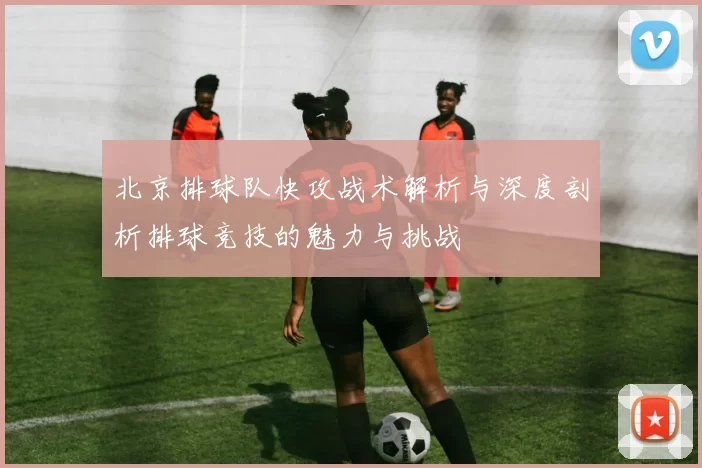 北京排球队快攻战术解析与深度剖析排球竞技的魅力与挑战