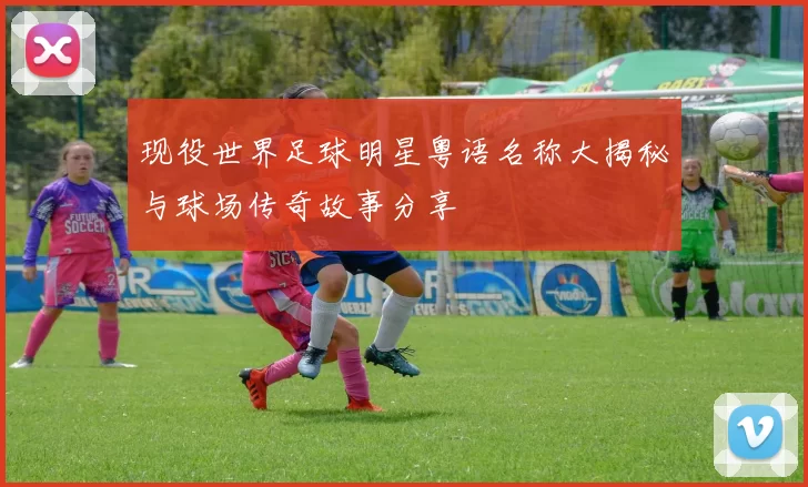 现役世界足球明星粤语名称大揭秘与球场传奇故事分享