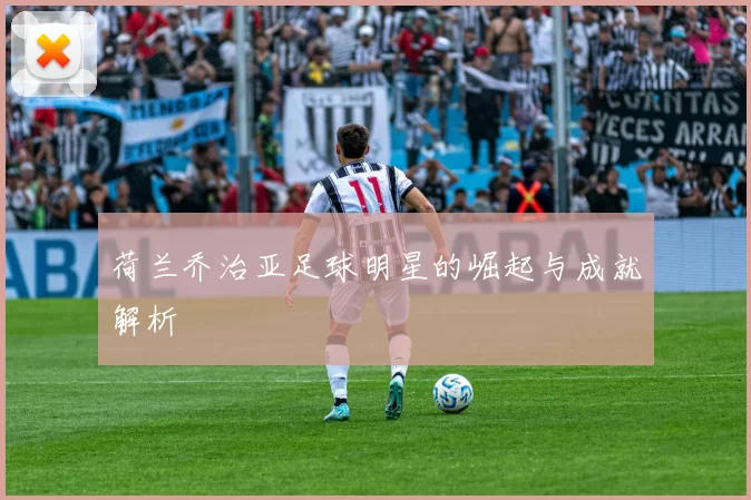 荷兰乔治亚足球明星的崛起与成就解析