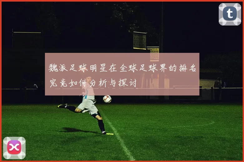魏派足球明星在全球足球界的排名究竟如何分析与探讨