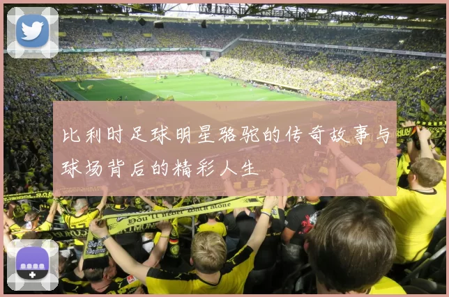 比利时足球明星骆驼的传奇故事与球场背后的精彩人生