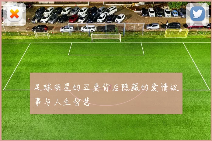 足球明星的丑妻背后隐藏的爱情故事与人生智慧