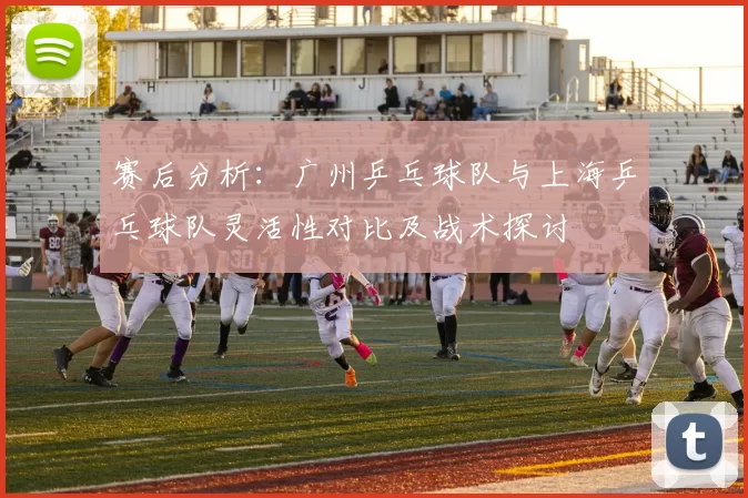 赛后分析：广州乒乓球队与上海乒乓球队灵活性对比及战术探讨
